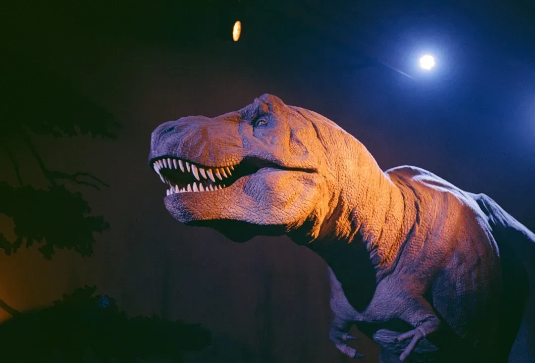 Conclusion: The Sensory World of Dinosaurs Was Far Richer Than We Ever Imagined (Image Credits: Unsplash)