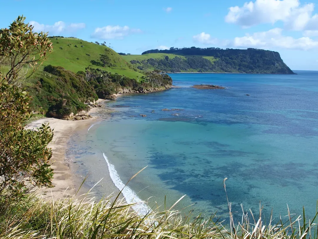 Shorelines, Swamps, and the First Steps Onto Land (Image Credits: Unsplash)