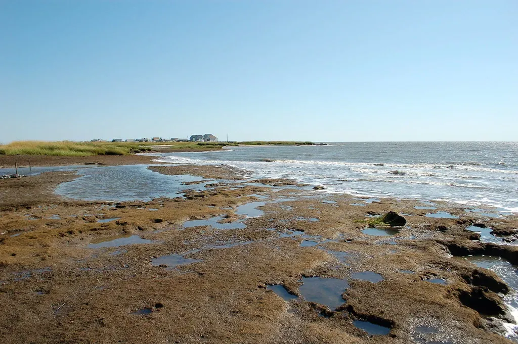Conclusion: The Coastline Myth We Need To Let Go Of (Image Credits: Flickr)