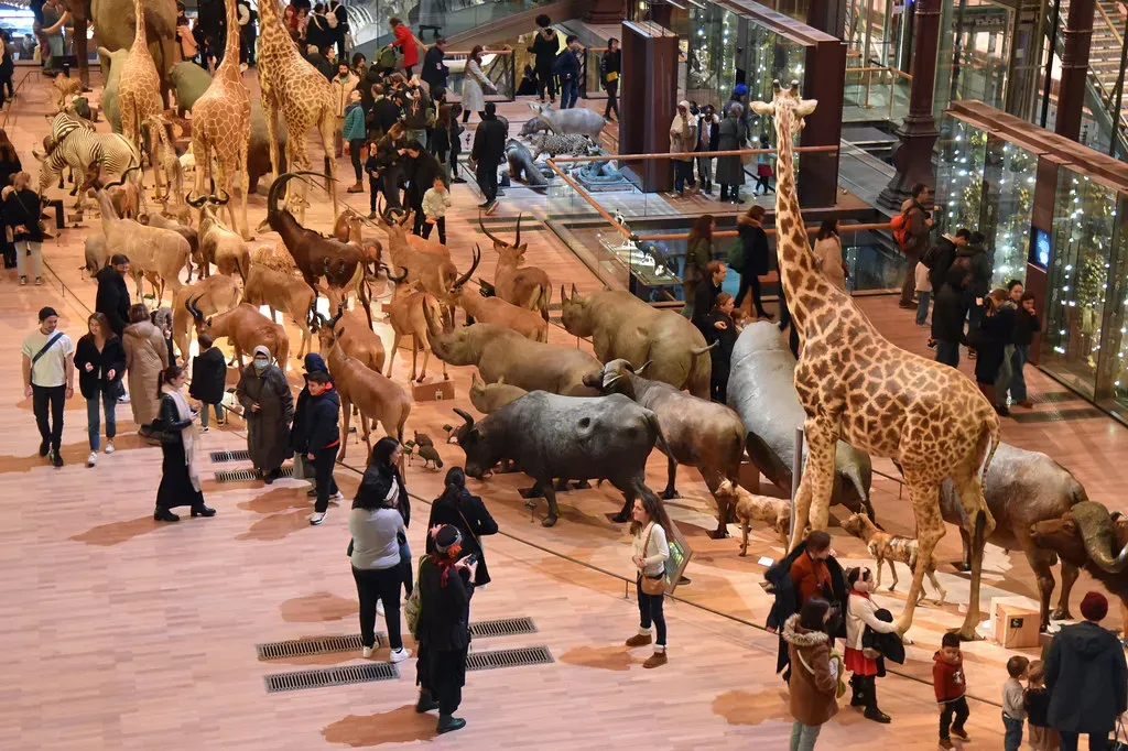 Conclusion: The Unlikely Heirs of the Earth (conall.., Flickr, CC BY 2.0)