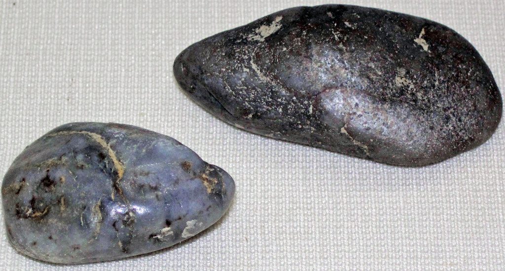 Gizzard Stones in Bird Digestion (Image Credits: Flickr)