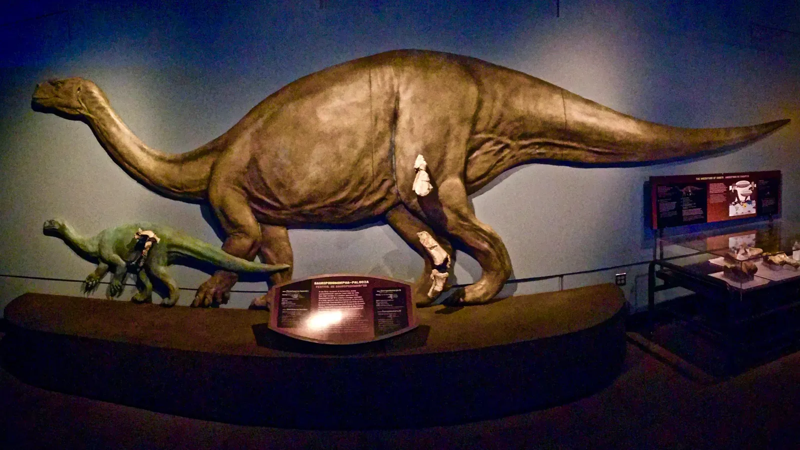 Yes, Dinosaurs Roamed Antarctica’s Ancient Landscapes (By Zissoudisctrucker, CC BY-SA 4.0)