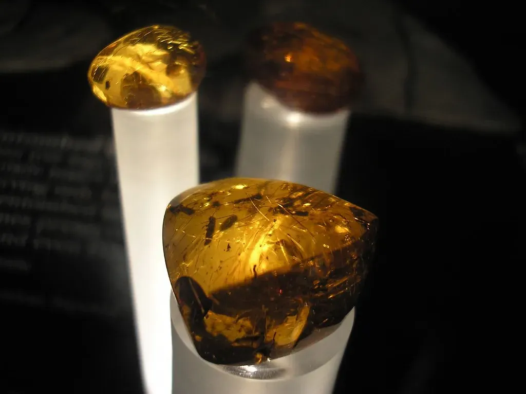 #8 - The Amber DNA Premise Doesn't Survive Basic Chemistry (Falashad, Flickr, CC BY 2.0)