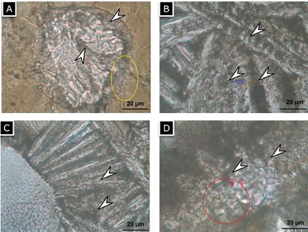 Reading Life's Chemistry From Stone (Wretch Fossil, Flickr, CC BY 2.0)
