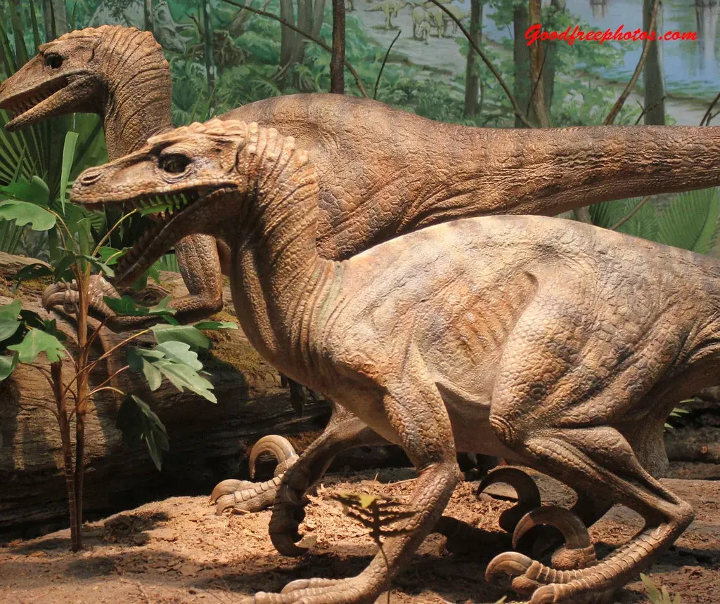 Conclusion (Image Credits: Flickr)