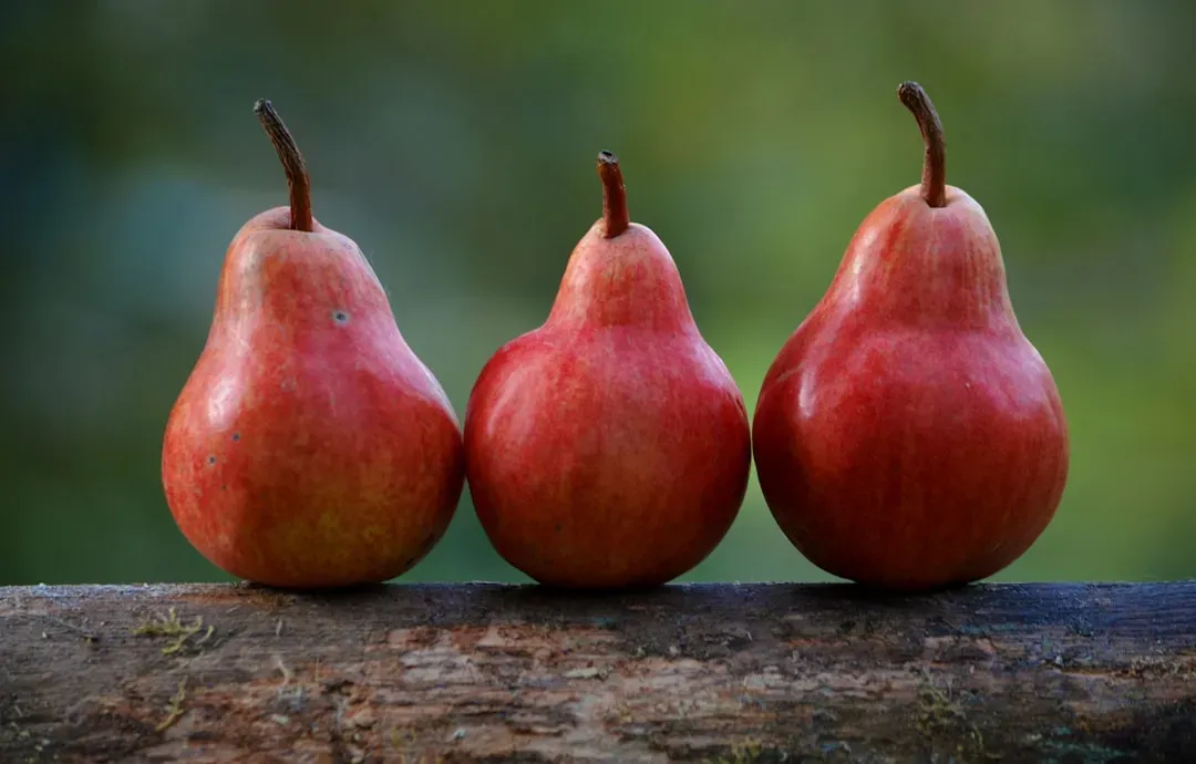 Red and ripe fruit: the taste of survival (Image Credits: Unsplash)