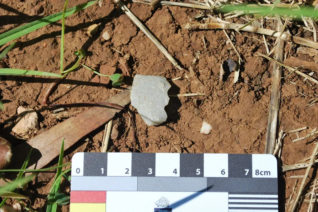 Learning, Teaching, and Culture: How Skills Became Traditions (mick_morrison, Flickr, CC BY 2.0)