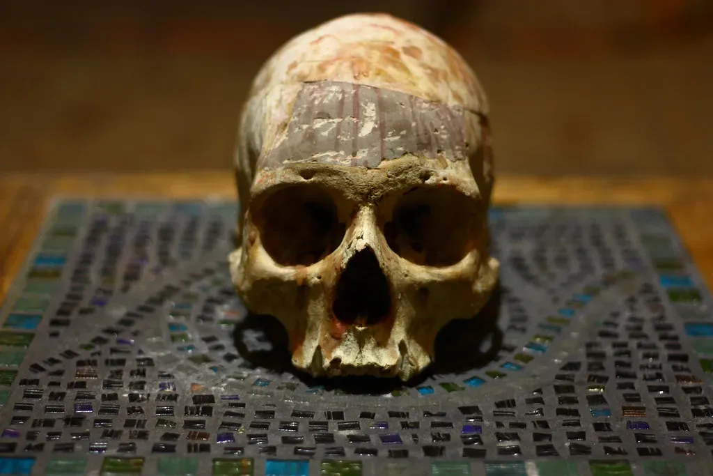 6. Human Skulls and Bones as Morbid Conversation Pieces (imprint777, Flickr, CC BY 2.0)