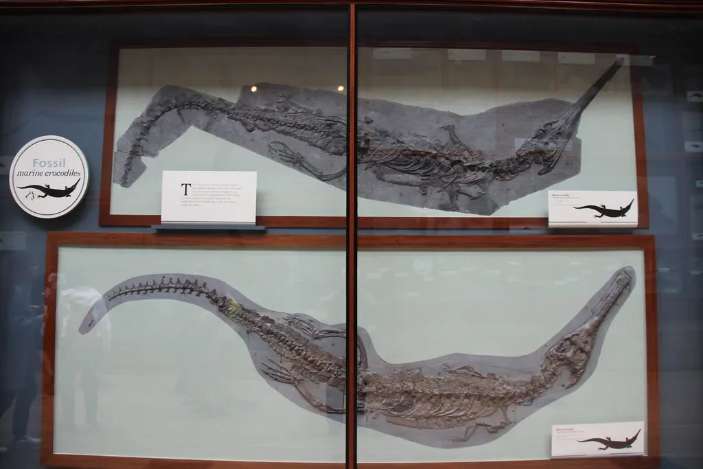 Conclusion: The Deep Past Is Closer Than It Looks (Image Credits: Flickr)