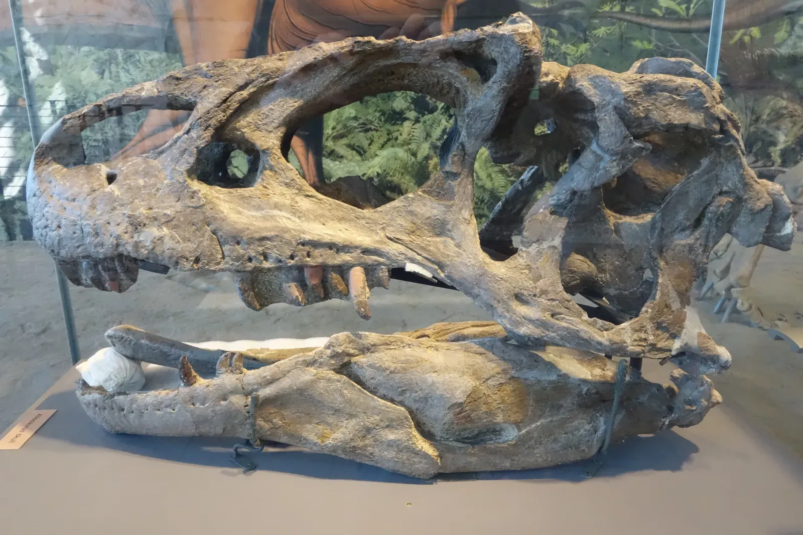 Conclusion: Rethinking the Rulers of the Mesozoic (By Jens Lallensack, CC BY-SA 4.0)