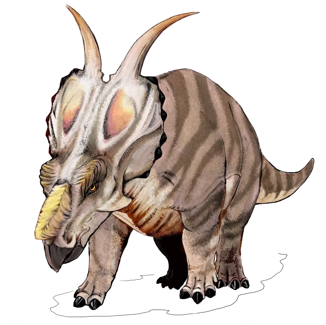 Why This Changes How We See Prehistoric Life (Image Credits: Wikimedia)