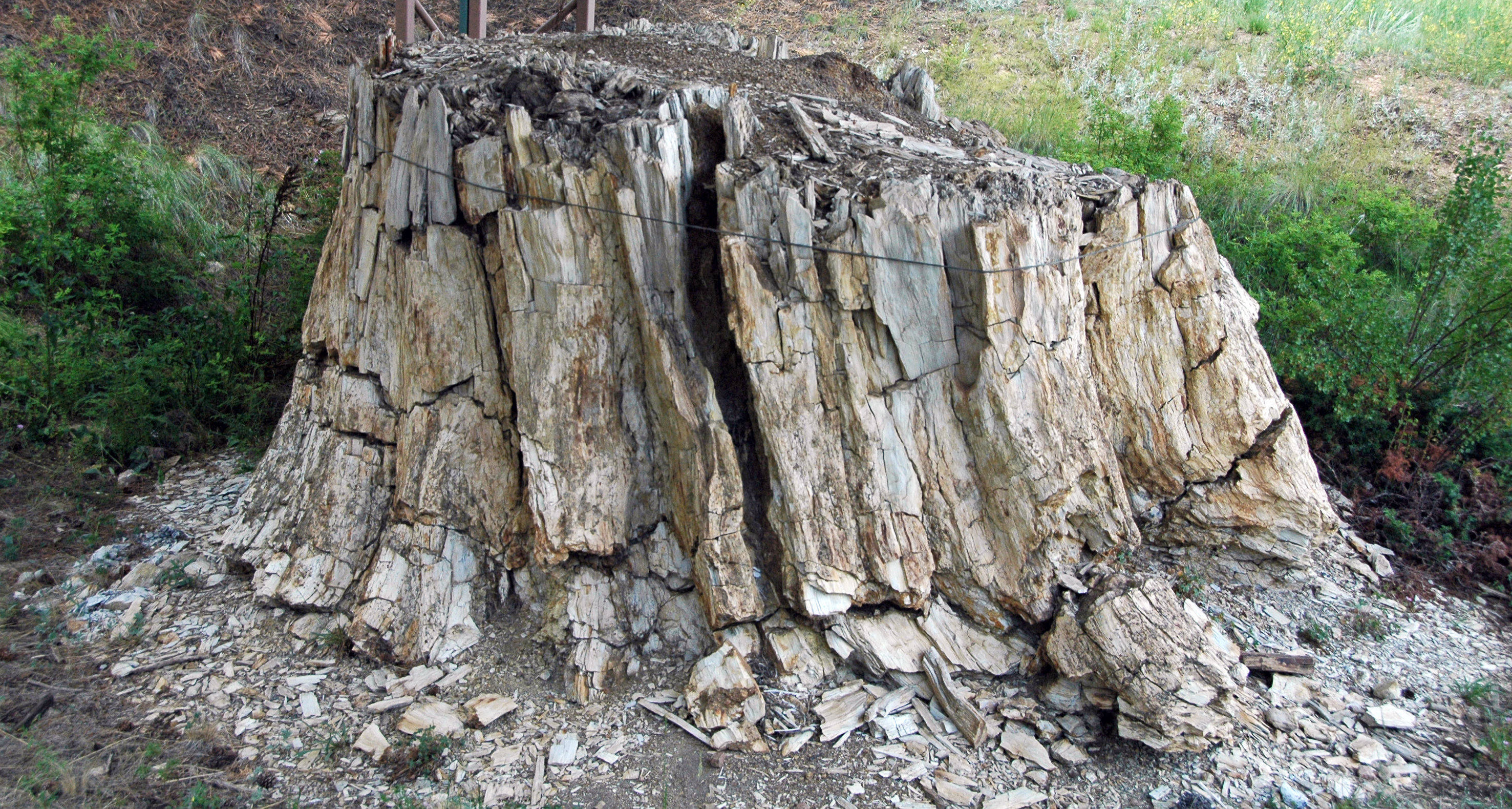 Carbon Dioxide Levels and Climate Extremes (Image Credits: Wikimedia)