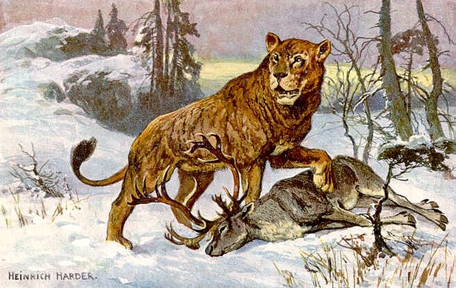 Cave Lions: The Oversized Feline Nightmares (Image Credits: Wikimedia)
