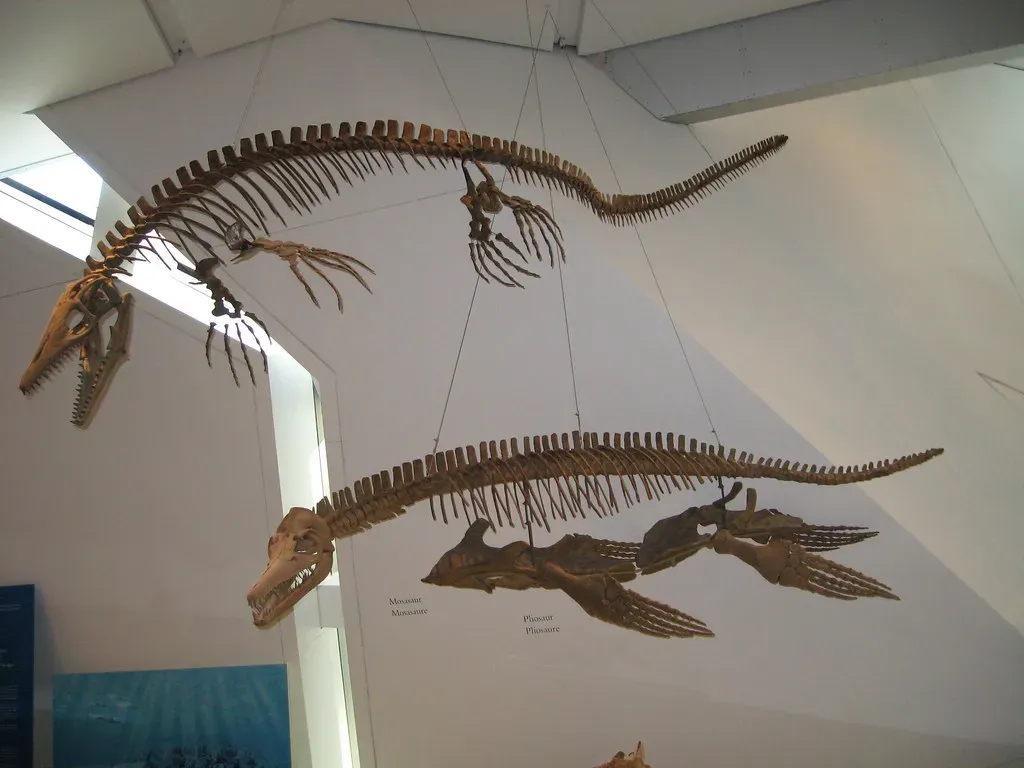 Extinction and the Legacy Left Behind (therealshmi, Flickr, CC BY 2.0)