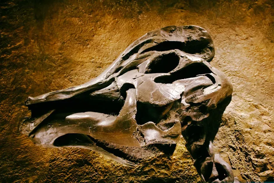 Conclusion: Ancient Wisdom Deserves More Credit (Image Credits: Pexels)