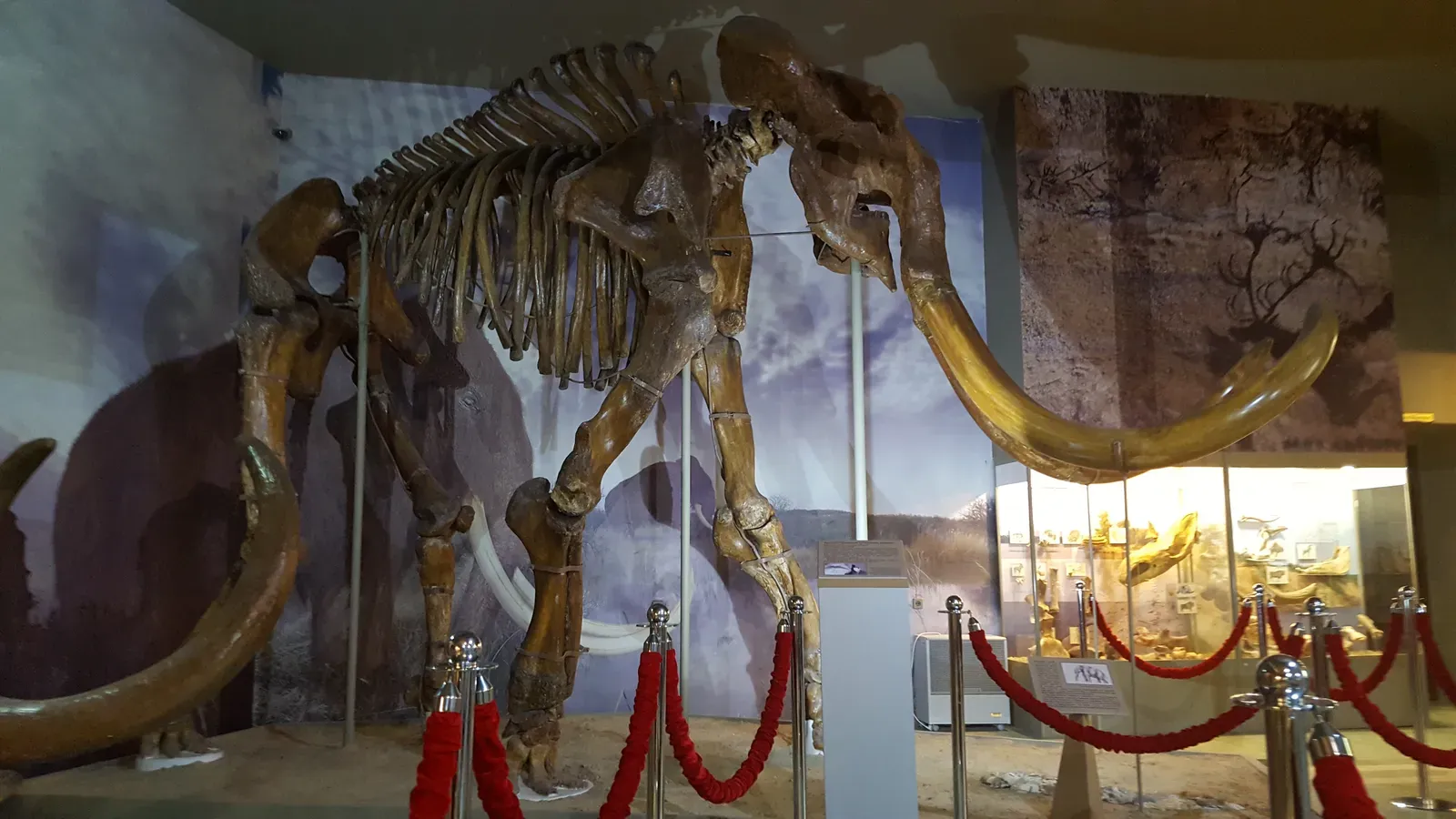 The Steppe Mammoth: The Original Giant Among Giants (By Altes, CC BY-SA 4.0)