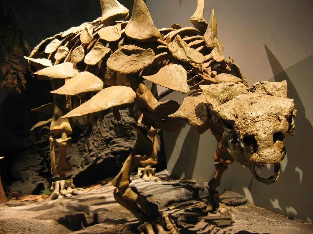 Conclusion: A Prehistoric Clock That Never Really Stopped (Image Credits: Flickr)