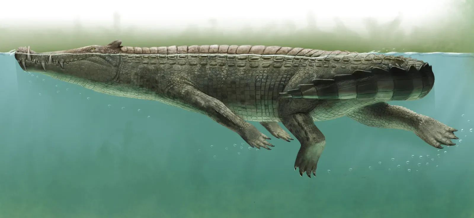 #6 - Kaprosuchus, The "BoarCroc" With Tusk-Like Fangs (By LiterallyMiguel, CC0)