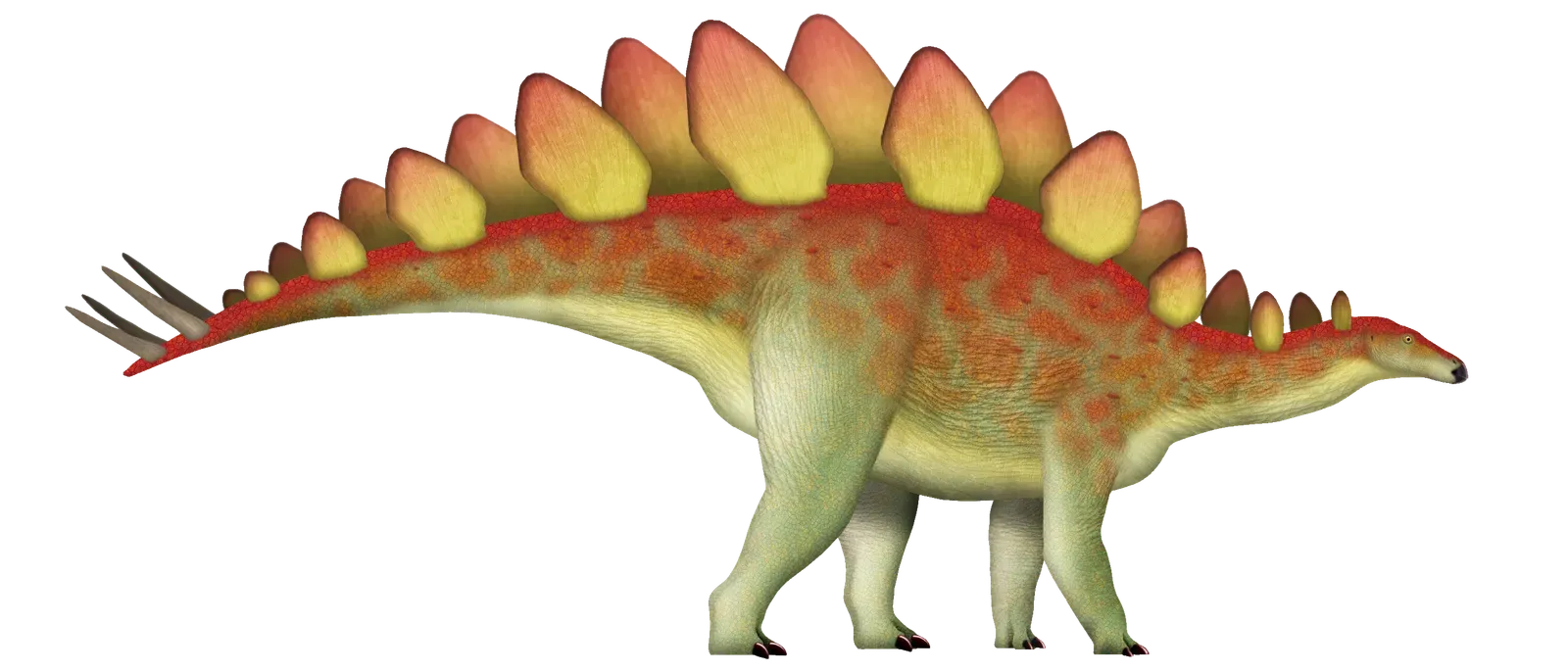 Stegosaurus Plates: Defense, Display, or Temperature Control? (Image Credits: Wikimedia)