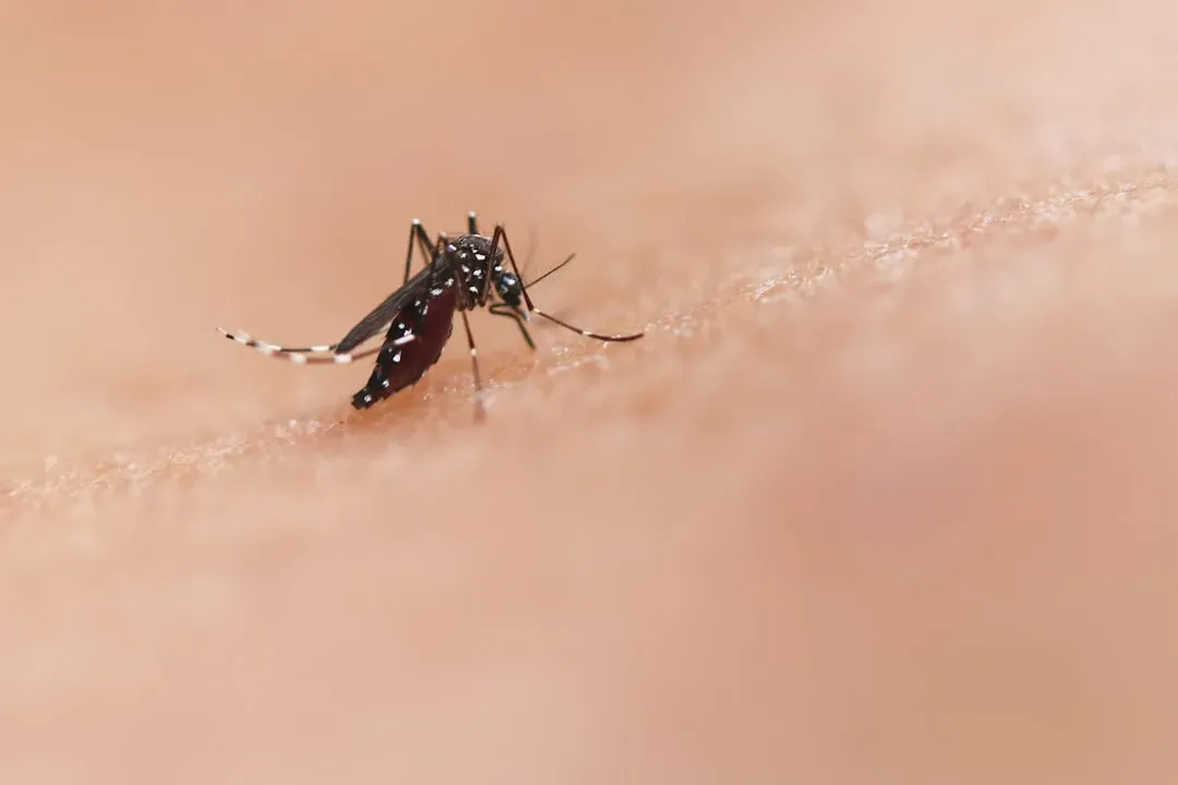 Mosquitoes and Disease Vectors: Deadly Bites in the Paleolithic (Image Credits: Unsplash)