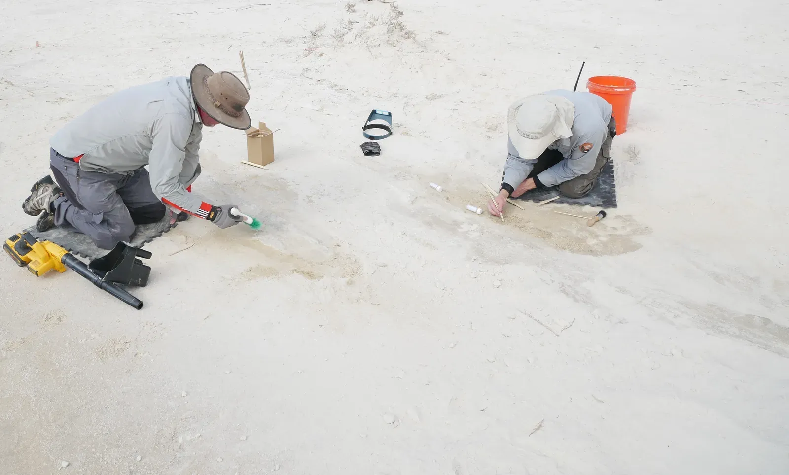 The White Sands Discovery That Changed Everything (NPGallery, Public domain)