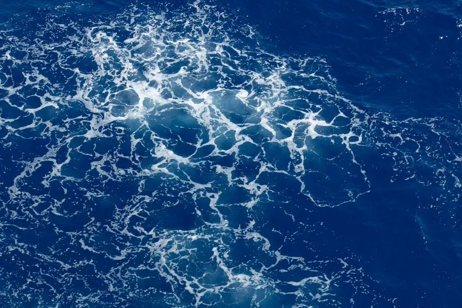 7. Sudden Oxygen Surges That Turned The Seas Into An Evolutionary Pressure Cooker (Image Credits: Pexels)