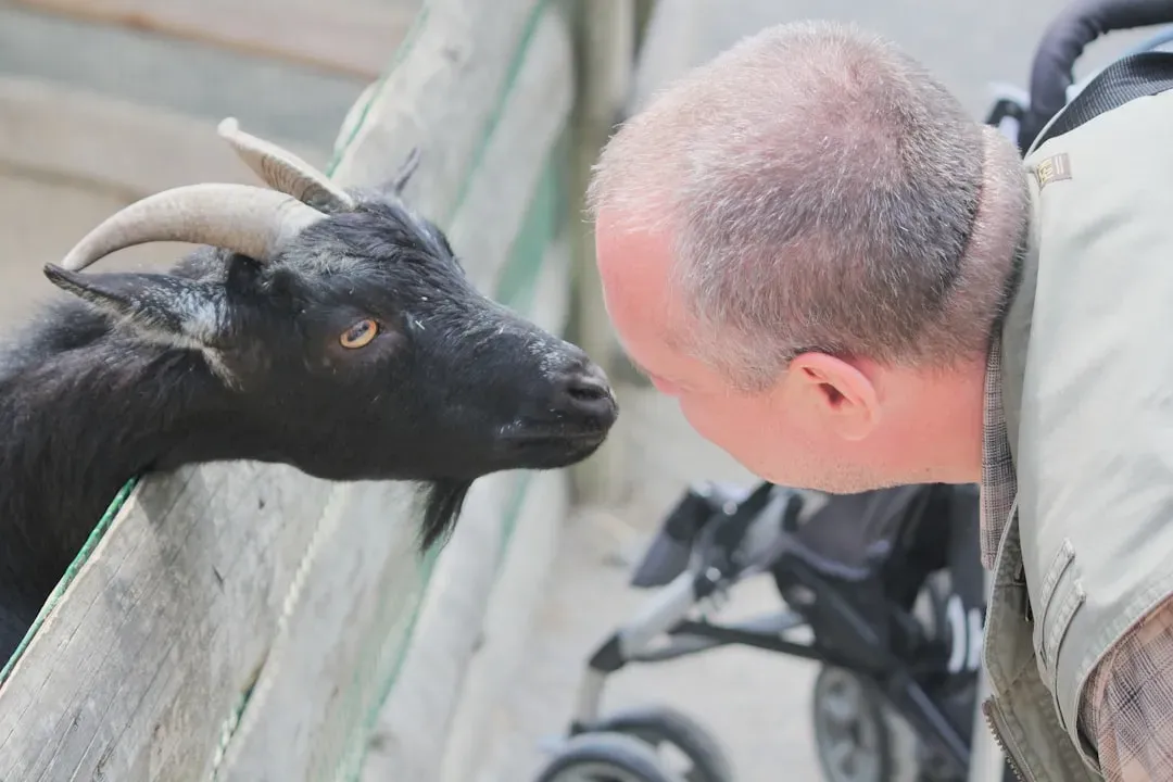They Practice Empathy in Unconventional Ways (Image Credits: Unsplash)