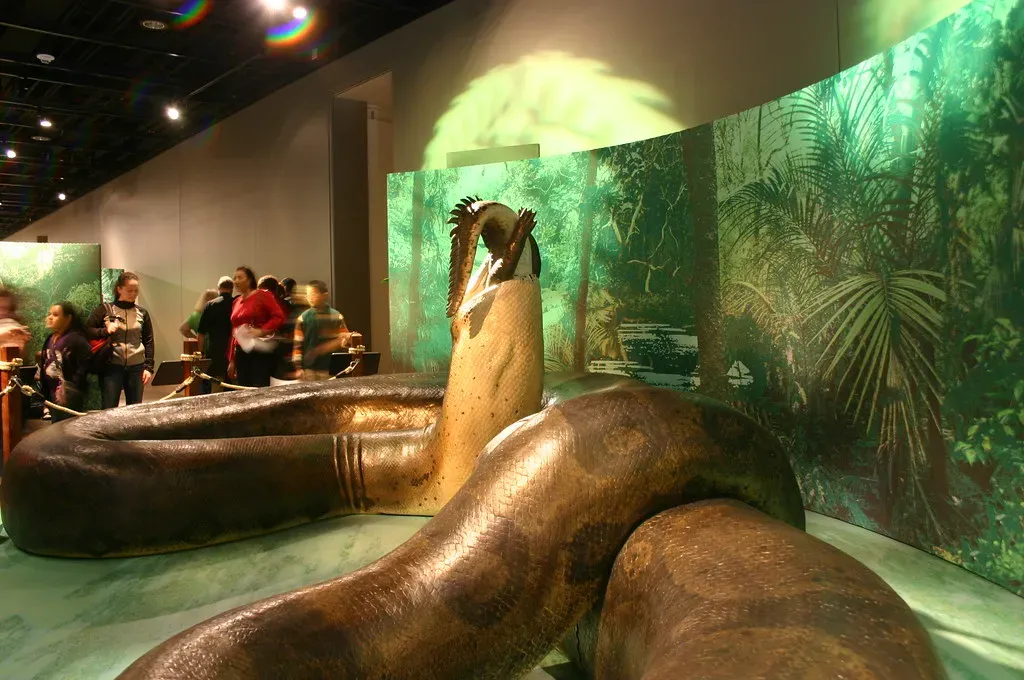Titanoboa: The Snake That Rewrote the Rules of Fear (Ryan Somma, Flickr, CC BY 2.0)