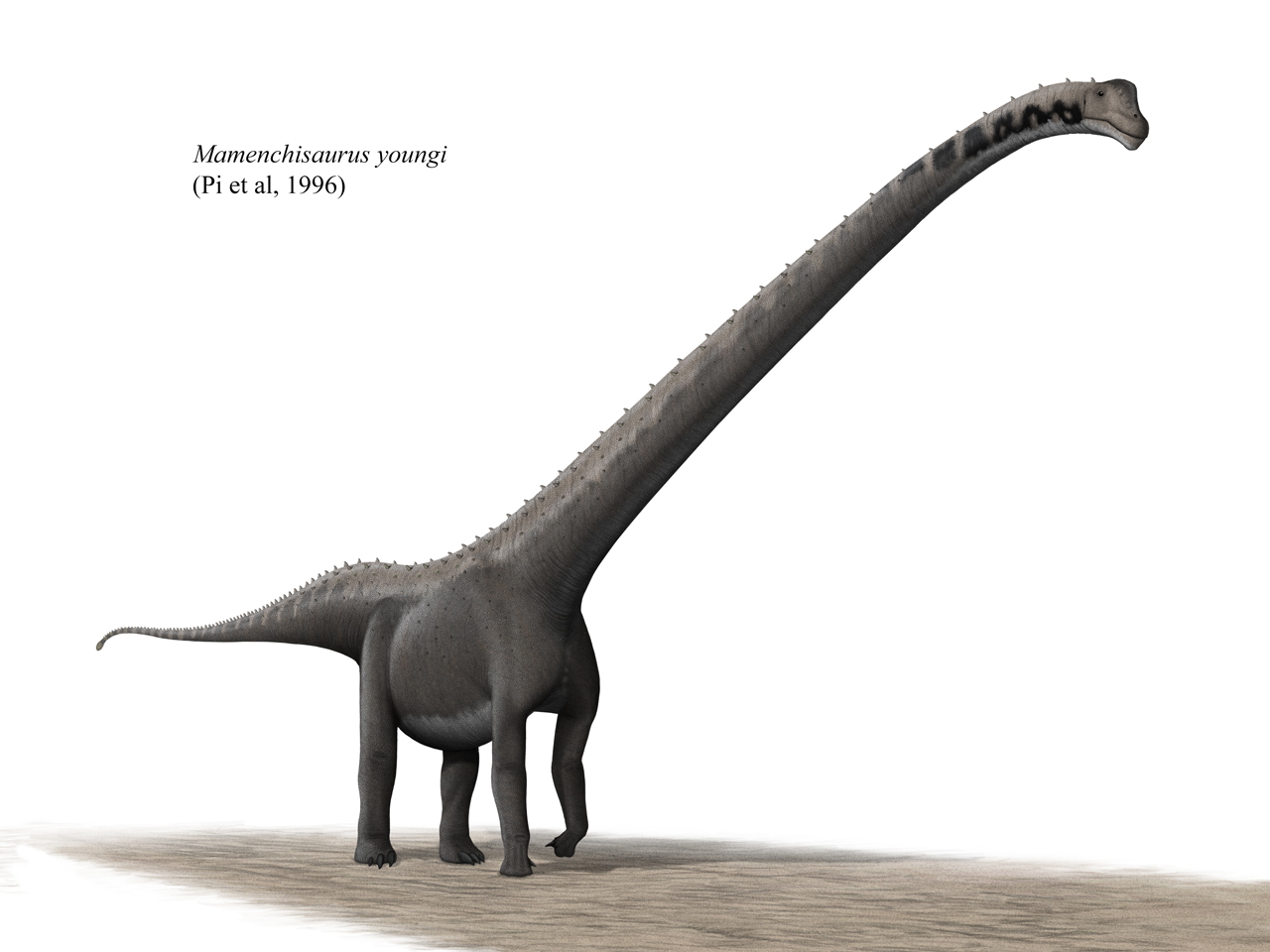 Mamenchisaurus sinocanadorum - The Neck Specialist (Image Credits: Wikimedia)