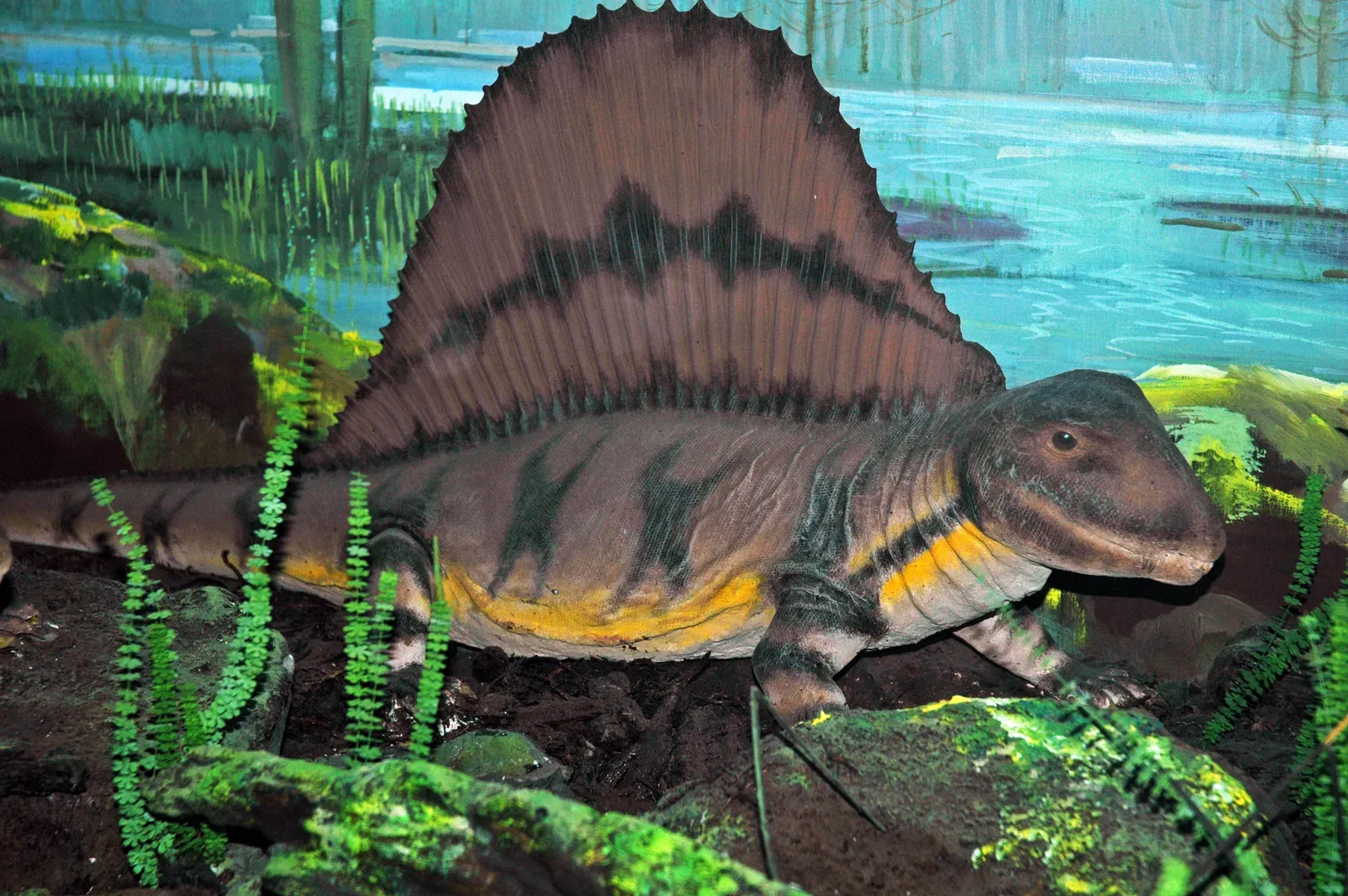 Conclusion: A World That Existed Long Before We Were Told the Story Began (Diorama of a Permian forest floor - Dimetrodon 2, CC BY 2.0)