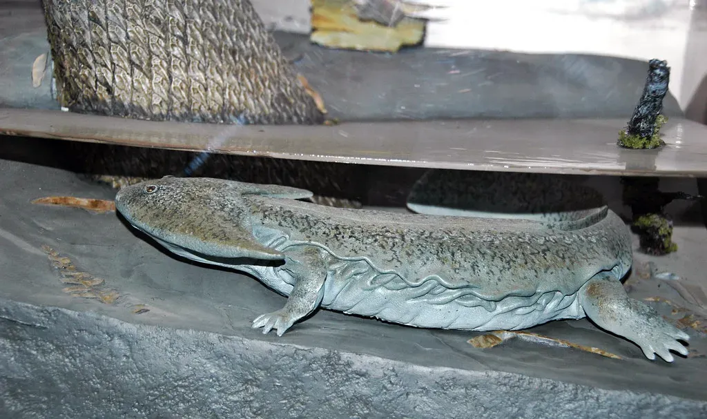 1. The Oxygen Supercharge Theory (James St. John, Flickr, CC BY 2.0)