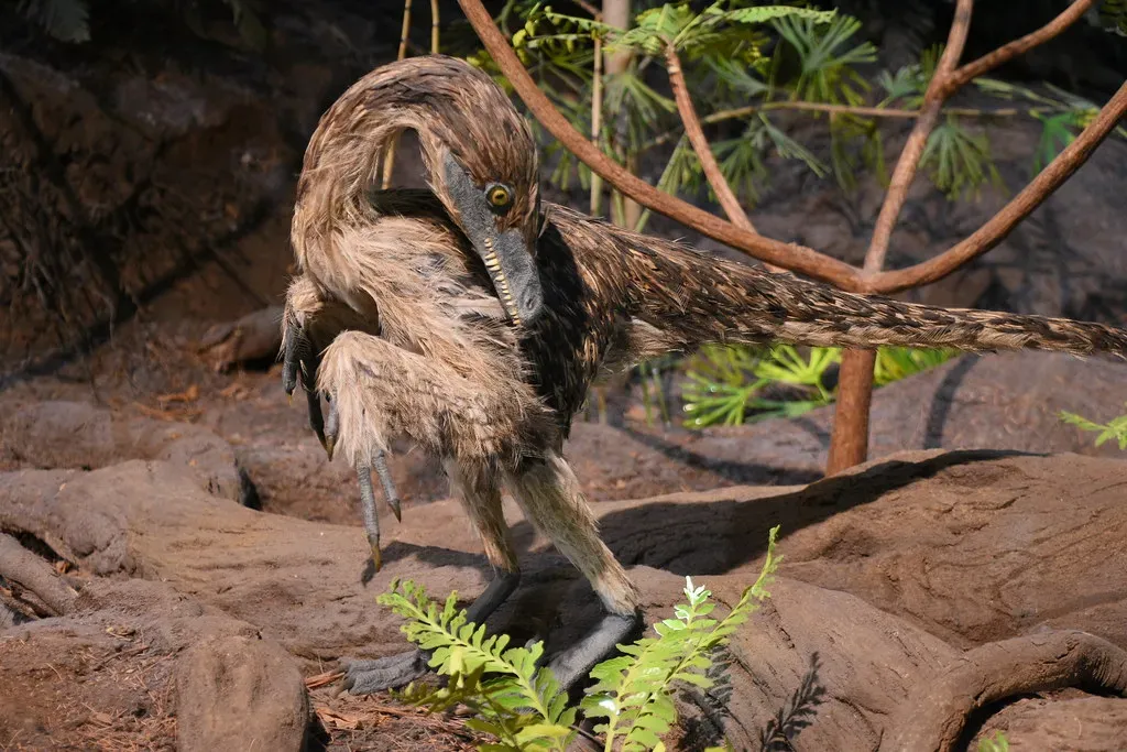 Feathers Existed Long Before Flight Ever Happened (Image Credits: Flickr)