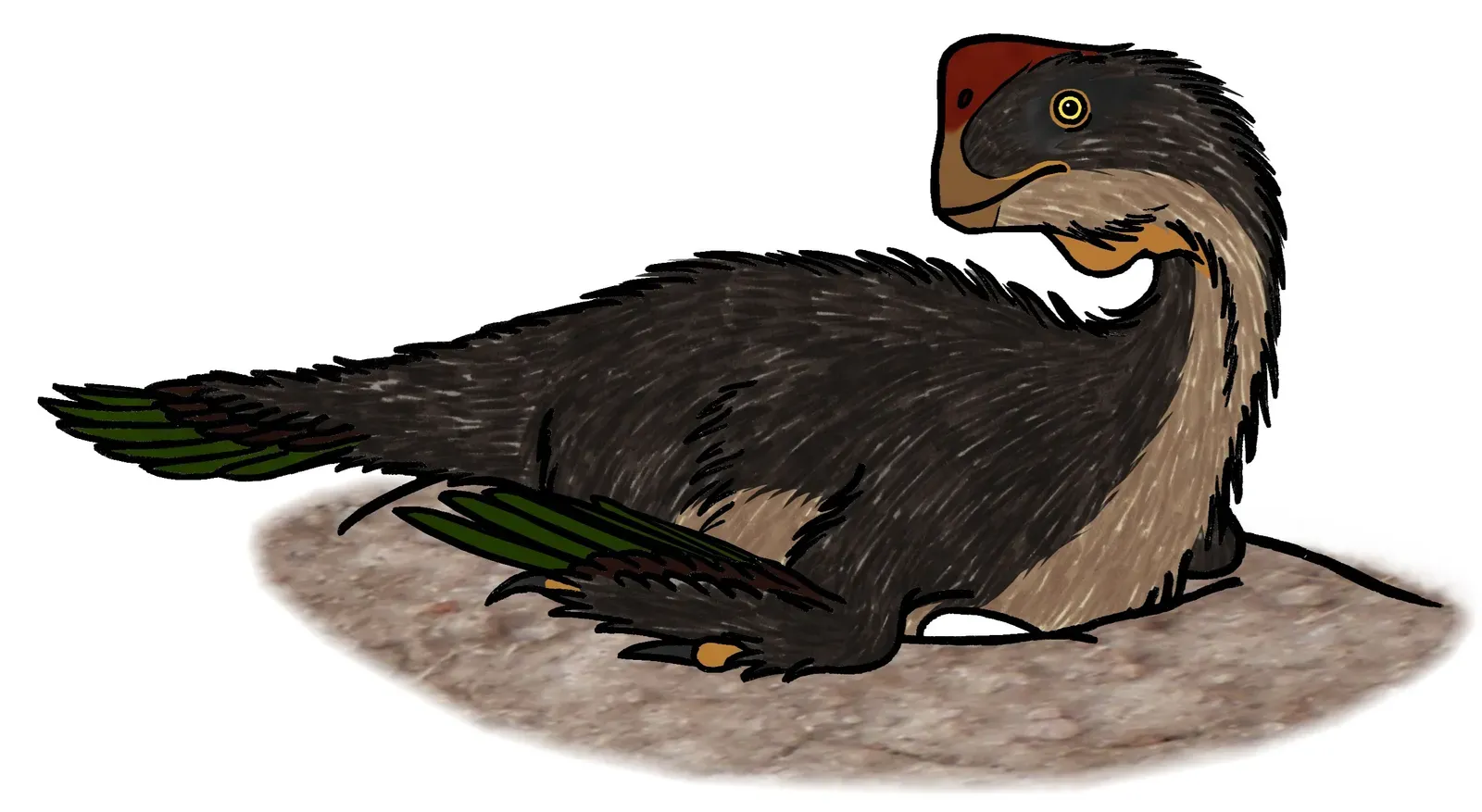 #12 - The 'Egg Thief' Dinosaur Was Actually a Devoted Parent (Image Credits: Wikimedia)