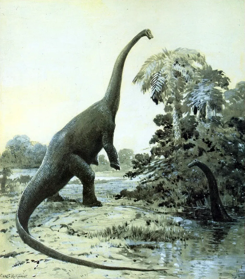 What Did Diplodocus Eat, and How Did It Feed a Body That Size? (By Charles Robert Knight, Public domain)