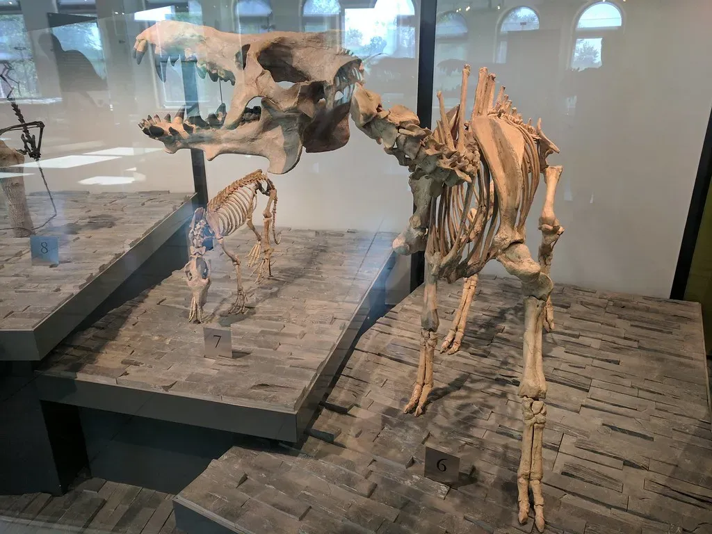 The Mystery of Their Extinction (Image Credits: Flickr)