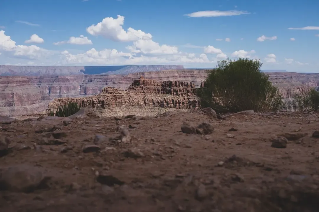 Regional Connections: How Nearby Dinosaur Hotspots Change Your View (Image Credits: Unsplash)