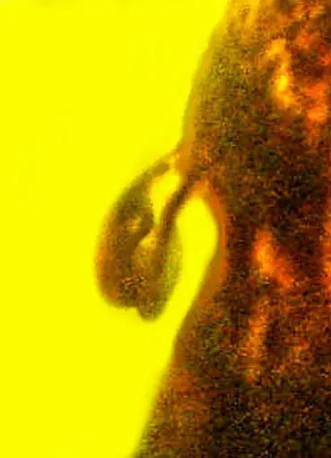 Conclusion (Image Credits: Flickr)