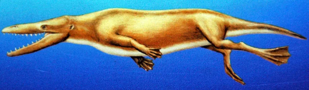 3. The Ancient Mammals That Simply Walked Into the Ocean (Image Credits: Flickr)