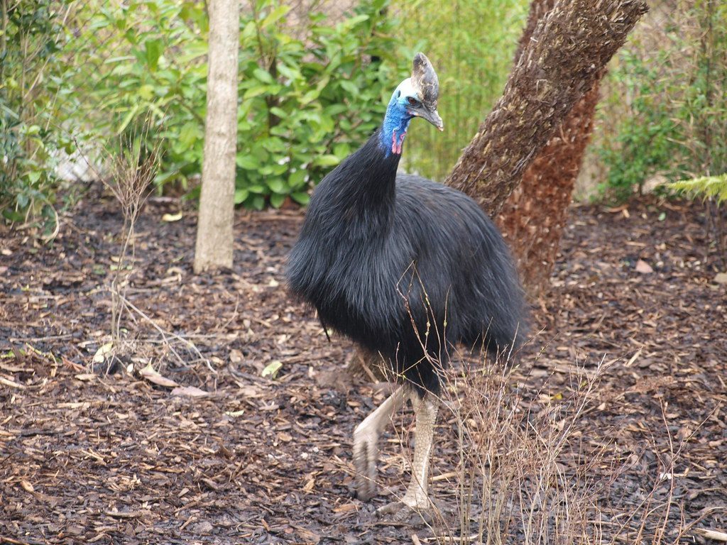 Conclusion (Image Credits: Flickr)