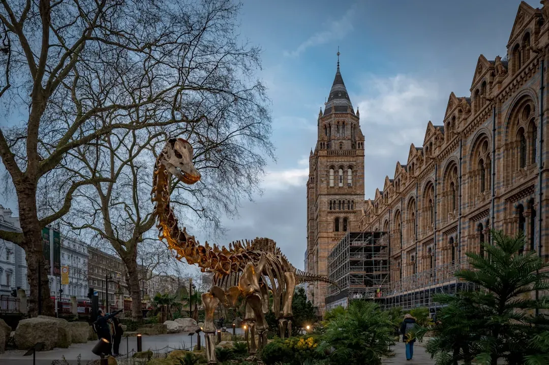 Natural History Museum, London, UK (Image Credits: Unsplash)