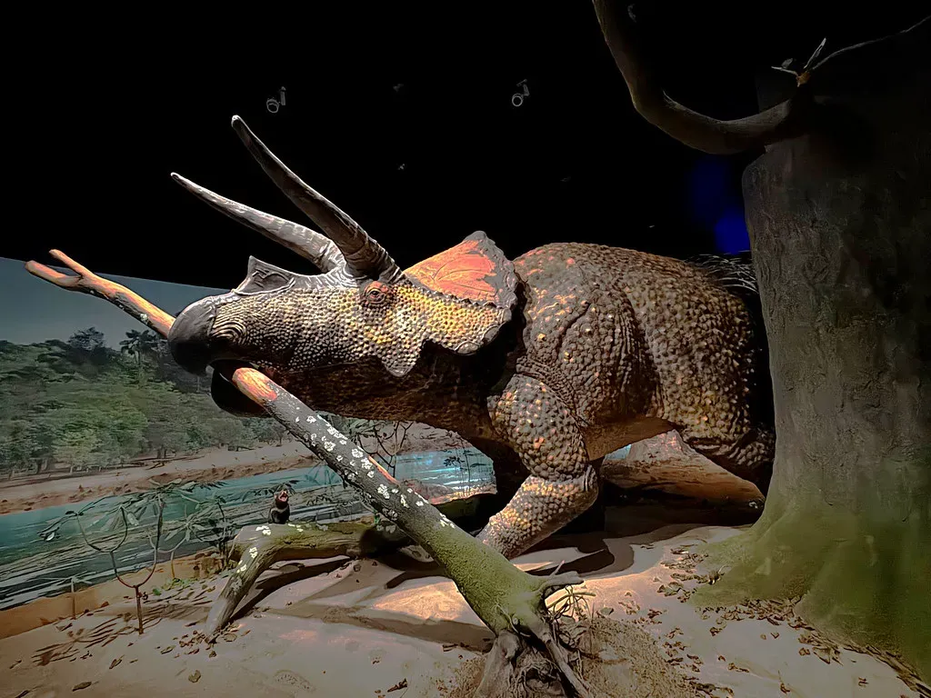 Skin, Feathers, and Scales May Have Felt Much More Than You Think (Image Credits: Flickr)