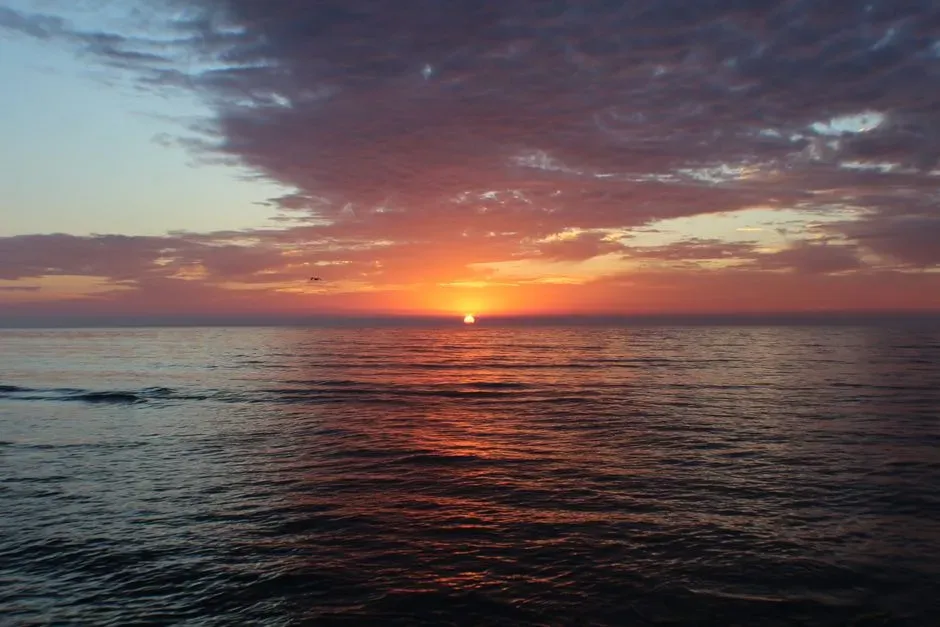 #12 - The Color of Dawn (Image Credits: Pexels)