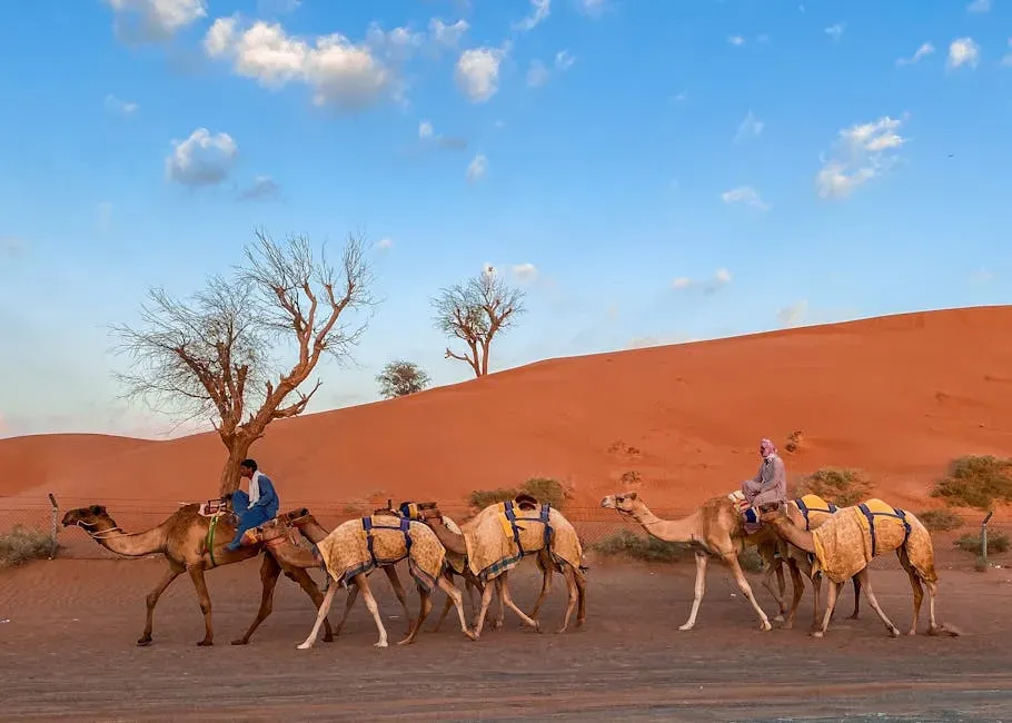 Echoes in the Present: How Ancient Routes Still Shape Your World (Image Credits: Pexels)