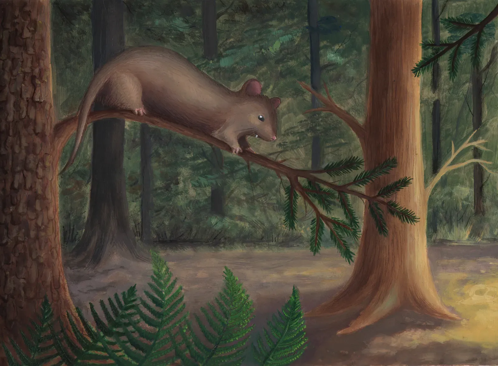 5. Some Early Mammals Were Venomous, Gliding, or Straight-Up Oddballs (By Sara.aznar, CC BY-SA 3.0)