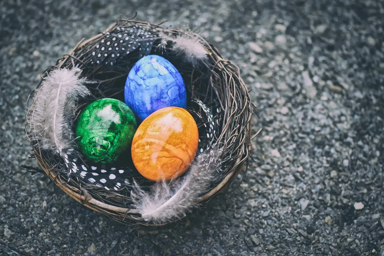 #8 A Nest Deep Inside a Traffic Cone or Road Barrier (Image Credits: Pixabay)