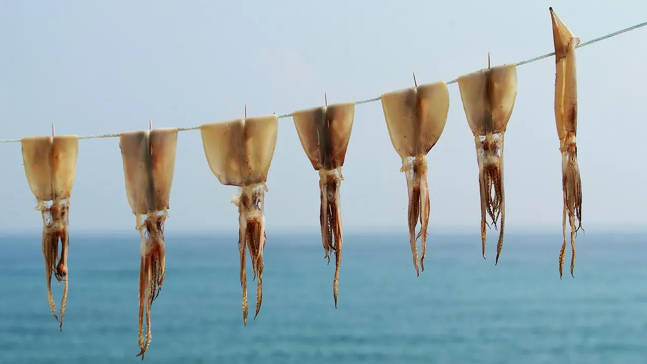 Drying, Smoking, and Freezing: Turning Short Feasts Into Long Winters (Image Credits: Pixabay)
