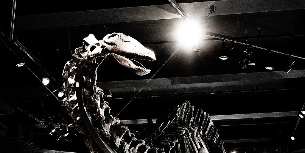 Conclusion: Brontosaurus, Uncertainty, and Why I’m Glad Science Is Messy (Rob Hurson, Flickr, CC BY-SA 2.0)