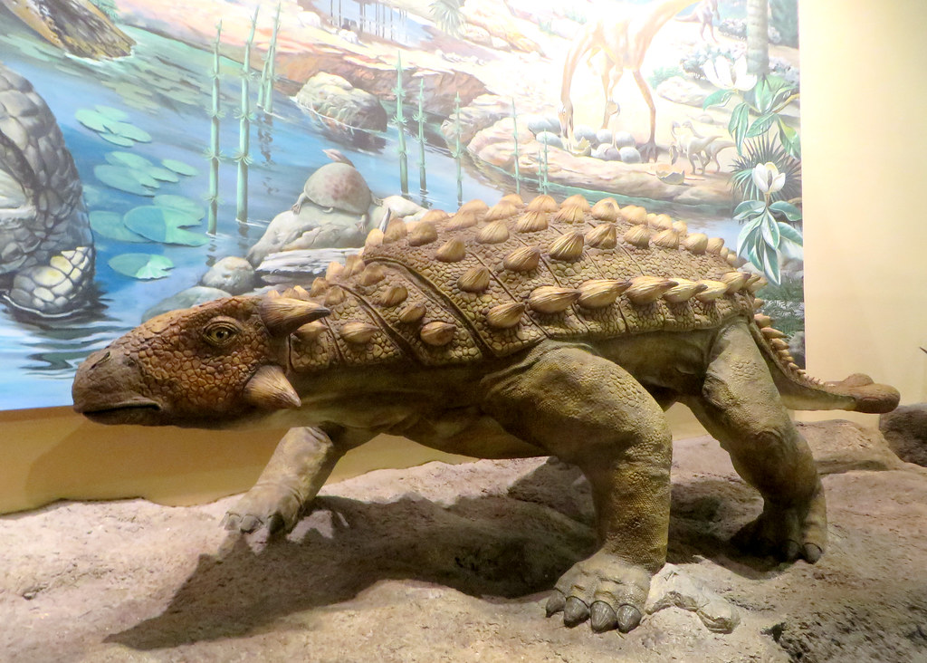 July: The Ankylosaurus - Protective Shell (Image Credits: Flickr)