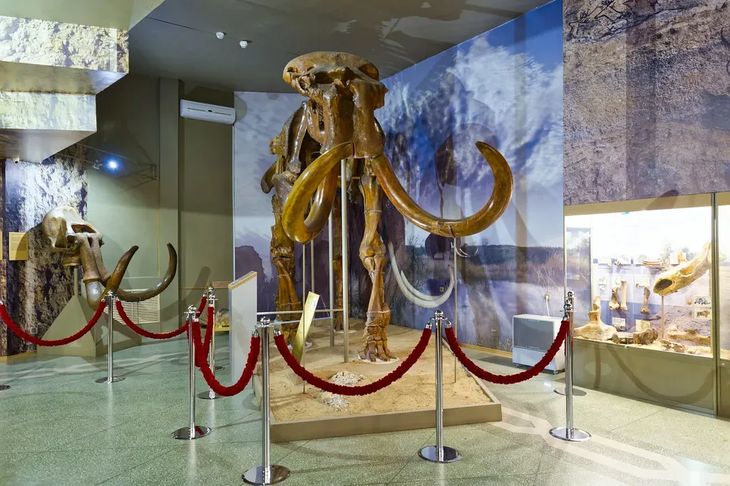 The Climate Change Connection That Changed Everything (Image Credits: Flickr)