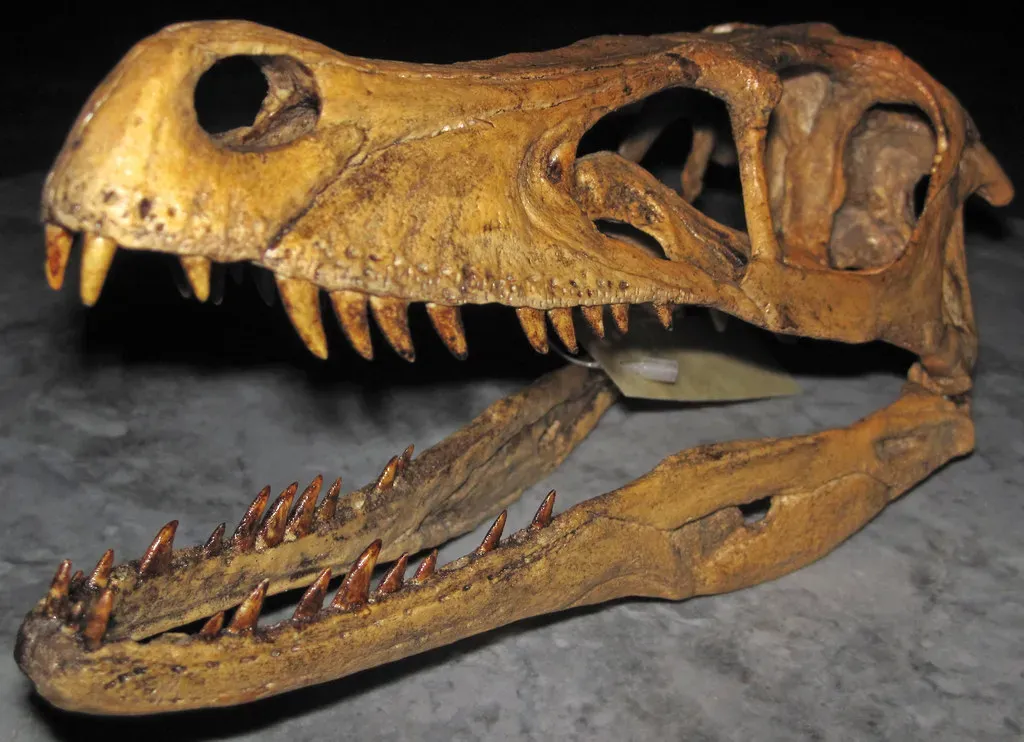 #6 - Velociraptor: The "Giant Reptilian Monster" That Was Actually a Feathered Turkey-Sized Hunter (James St. John, Flickr, CC BY 2.0)